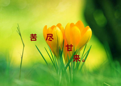 幸福就像穿鞋，但脚链不适合。赤脚跑步最好1