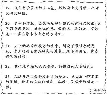 用拟人化的句子写大雨