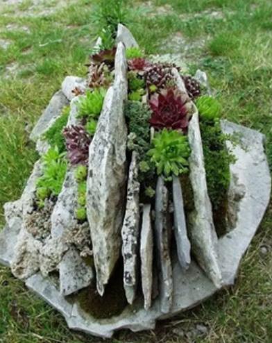 寓言中的鸟笼中的蚂蚁