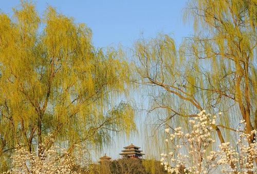 描述洪水的句子