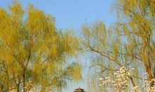 描写洪水拟人句