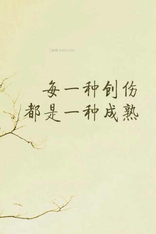 三年级的励志语录