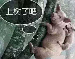 关于信任的谚语