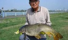 钓鱼有哪些谚语