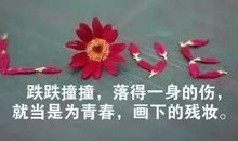 朋友圈可爱句子