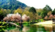 形容故乡的句子