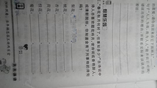 描述梨花的段落