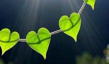 不放弃对于精致的追求，就是爱生活、爱自己的开始