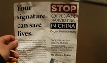 赞美女孩子的句子