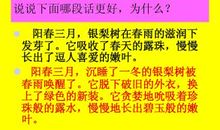 小学常用比喻句