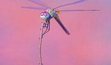 2018最霸气个性签名