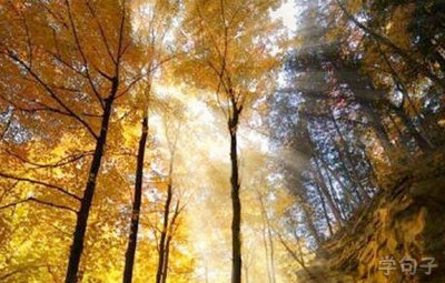 励志图片图片2018：你现在不累，以后你会更累