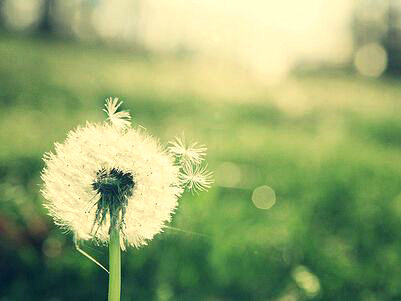 经典感性而优美的句子，感性的句子想流眼泪