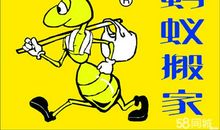 蚂蚁搬家的歇后语