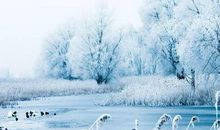 描写雪句子