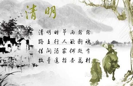 关于柳树的谚语