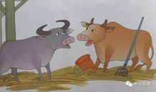 关于牛的谚语