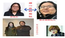 高晓松句子