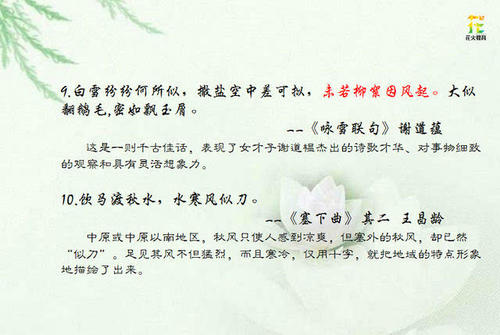 貌似用来写隐喻