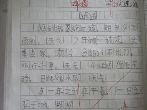 用课外收集的谚语写一个句子