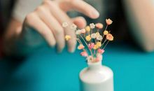 生命的感悟句子