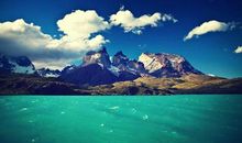 兴致勃勃造句大全