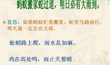 课外有关气象的谚语有哪些