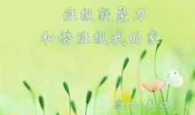 班级凝聚力口号