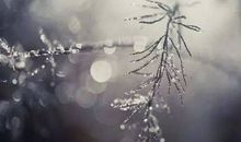 形容冬雨的句子