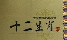 十二生肖经典台词