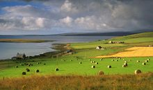 大自然的美景句子