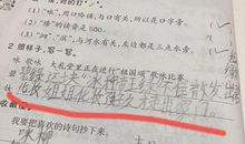 小学允许造句大全