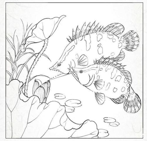 握住荷叶，抚摸欧谢侯羽