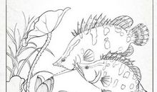 抓住荷叶摸到藕歇后语