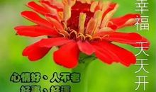 周末微信祝福语大全