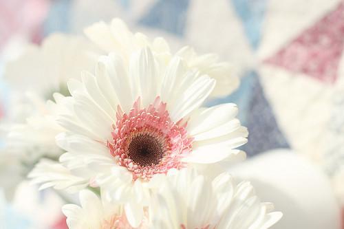 毕淑敏作品经典语录