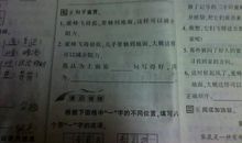 谢谢你造句大全