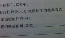 关于母亲的好句