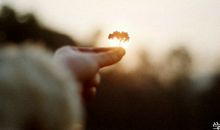 阳光励志的句子简短：苦想没盼头，苦干有奔头