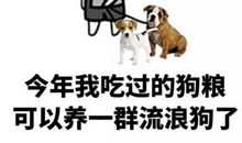 心如刀割造句大全