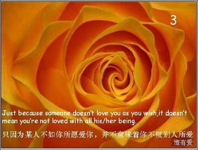 哲学与爱情语录