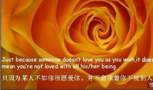 哲学爱情名言名句大全