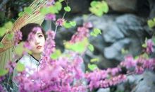 蔷薇花的拟人句