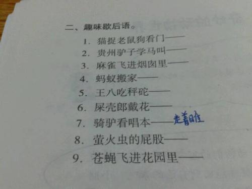 关于蚂蚁的寓言