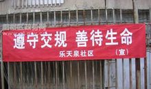 春运交通安全宣传标语