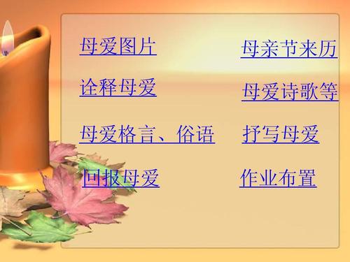 关于母亲的谚语