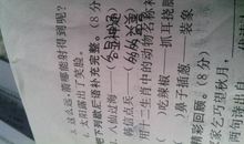 有关动物歇后语