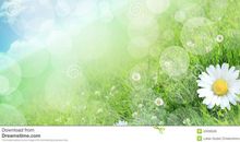 生命里最美好的春天经典句子