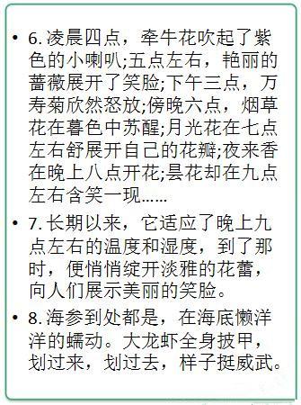 小书柜的拟人化句子