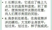 小书柜的拟人句